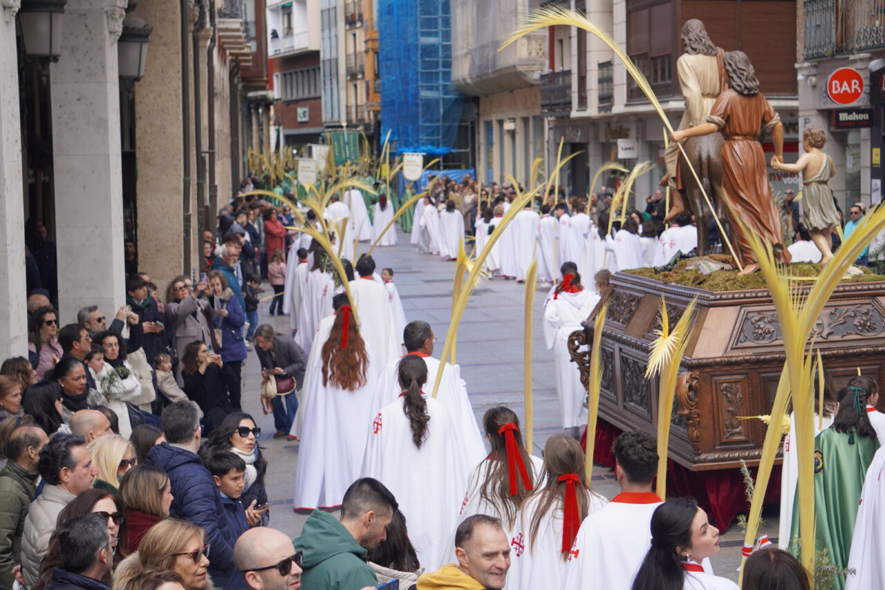 Multitud de personas en la procesión de La Borriquilla en Palencia
