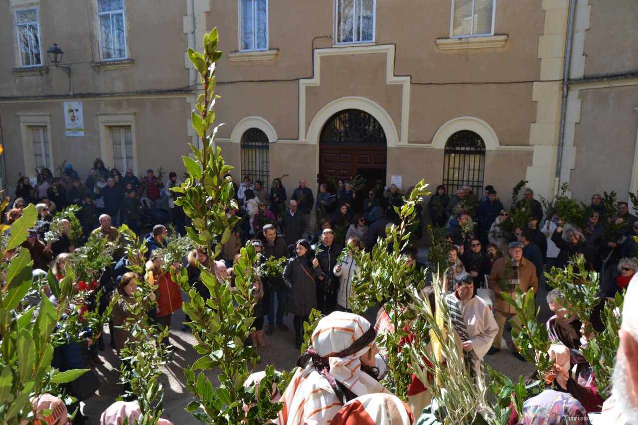 Celebración del Domingo de Ramos en Astudillo con personas y ramos.