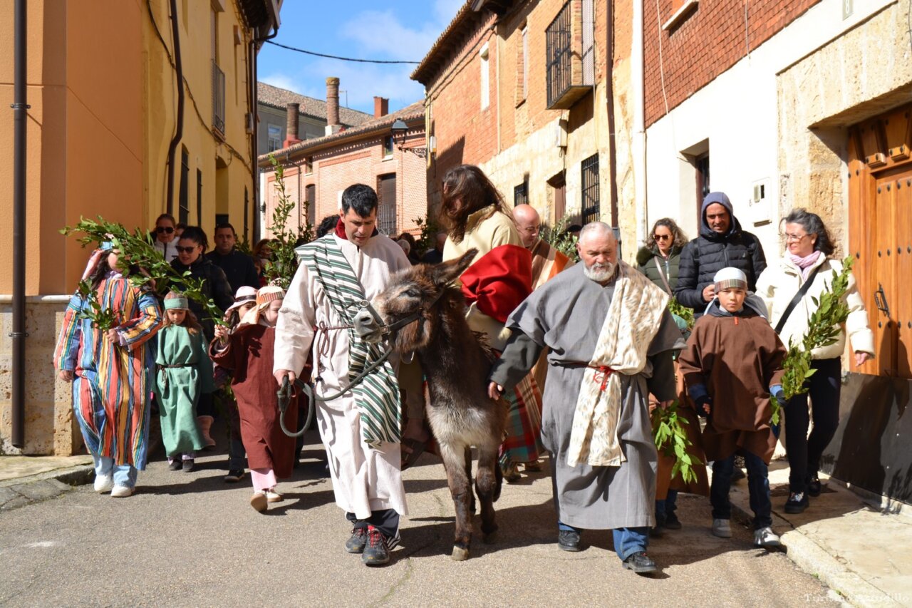 Procesión del Domingo de Ramos en Astudillo con personas y un burro