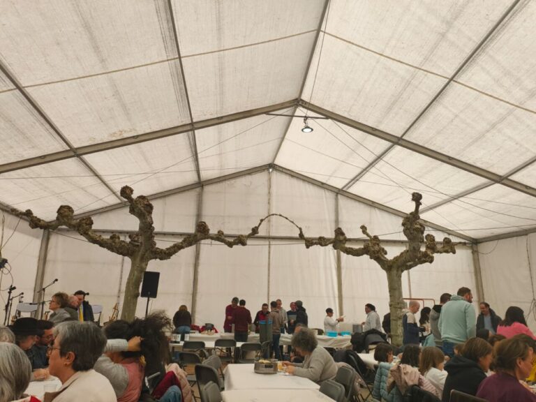 Celebración de la fiesta de Santo Tomás en Villamediana con mesas y árboles