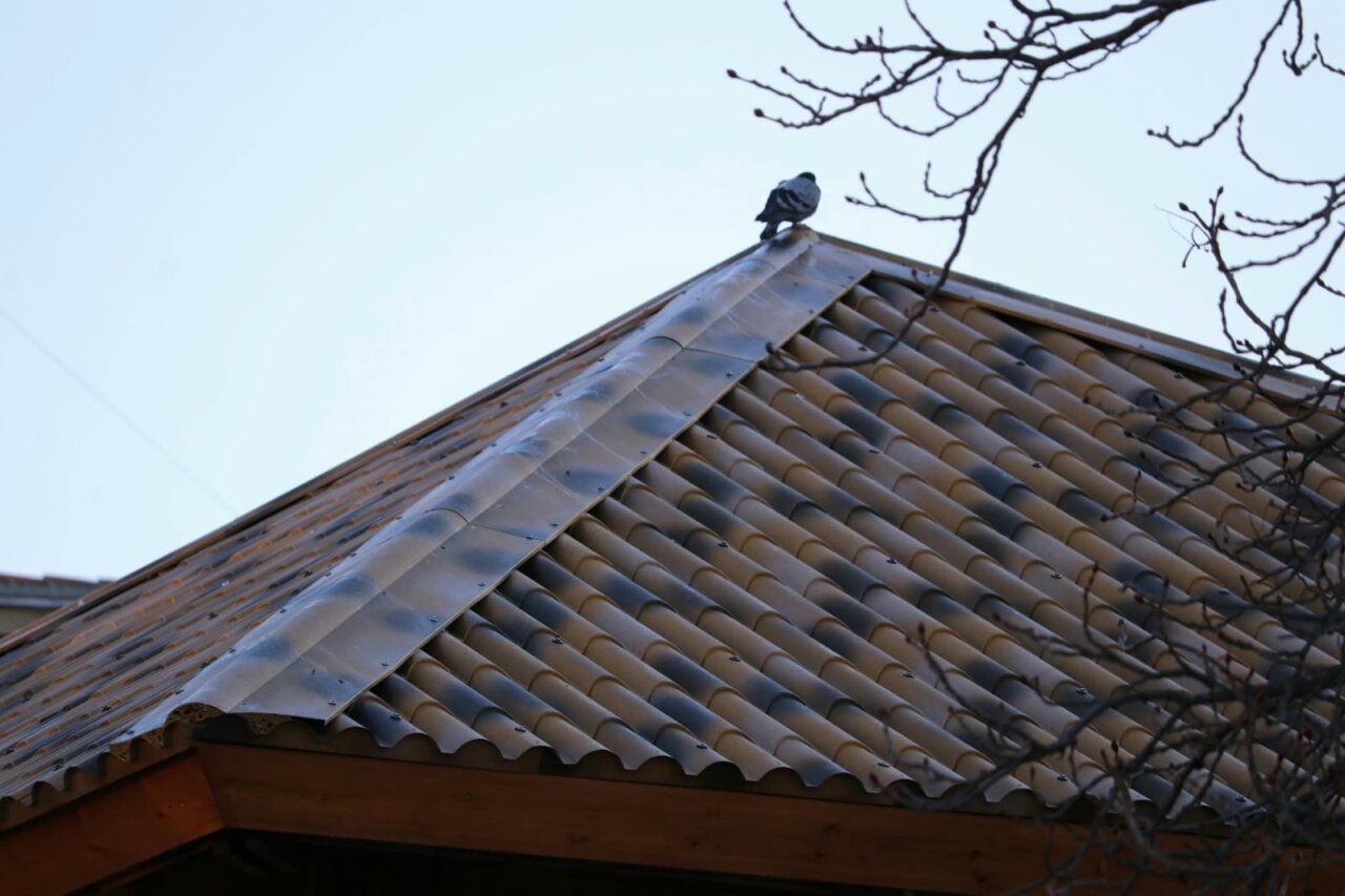 Tejado del templete en la Plaza de la Constitución con una paloma