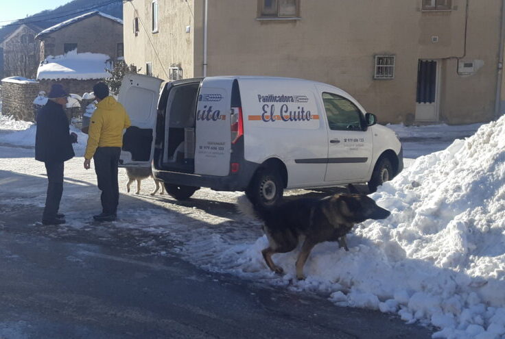 Bibliobús y furgoneta de panadería en un pueblo de Palencia
