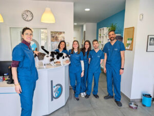 Equipo de veterinarios en la Clínica Veterinaria Bigotes con gatos