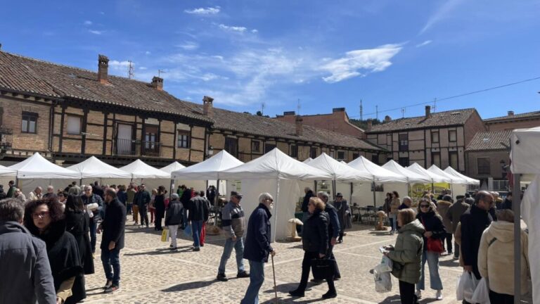 Feria de medio ambiente en Saldaña con puestos y visitantes