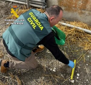 Agente de la Guardia Civil investigando el fallecimiento de aves rapaces.