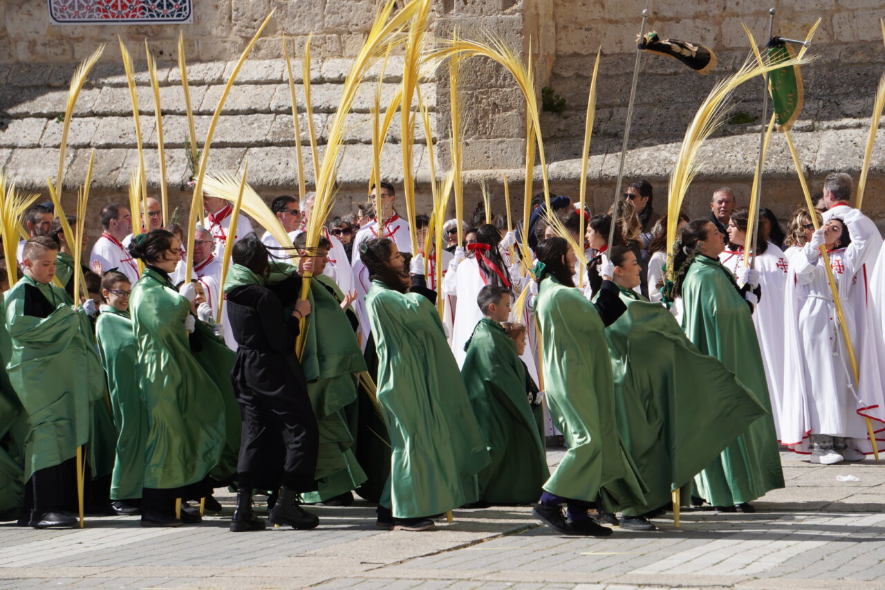 Cofrades con palmas en la procesión del Domingo de Ramos en Palencia