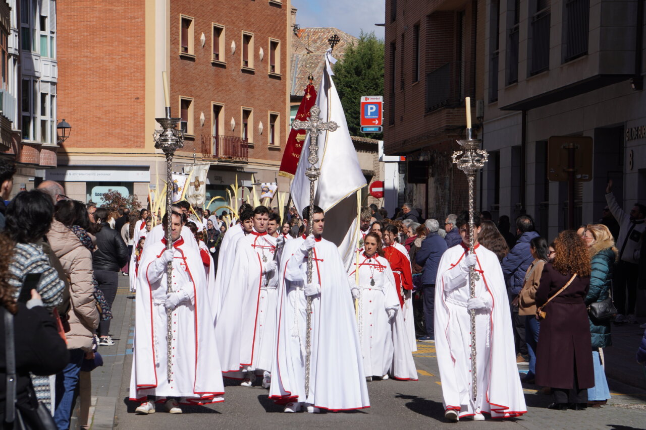 Procesión del Domingo de Ramos en Palencia con cofrades y multitudes