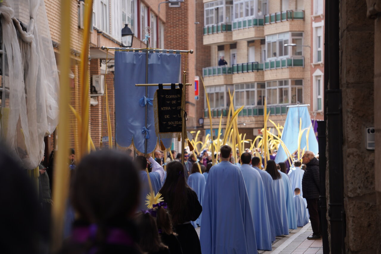 Multitud de personas en la procesión del Domingo de Ramos en Palencia