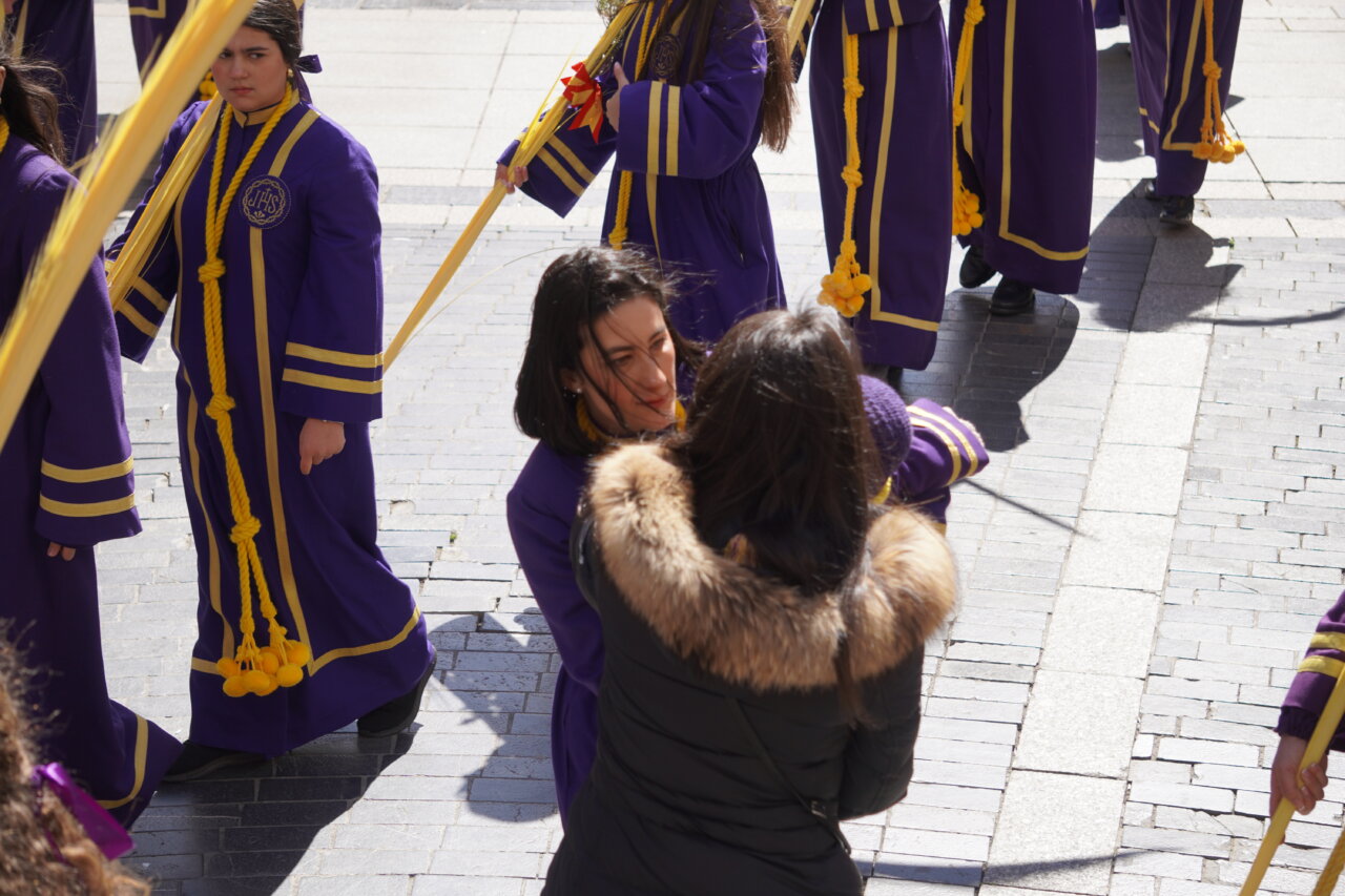 Multitud en la procesión de La Borriquilla en Palencia con cofrades y palmas.