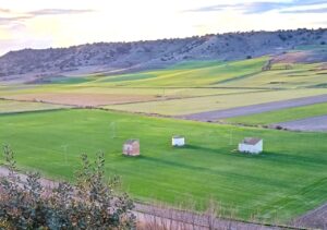 Vista de palomares en un paisaje rural de Palencia