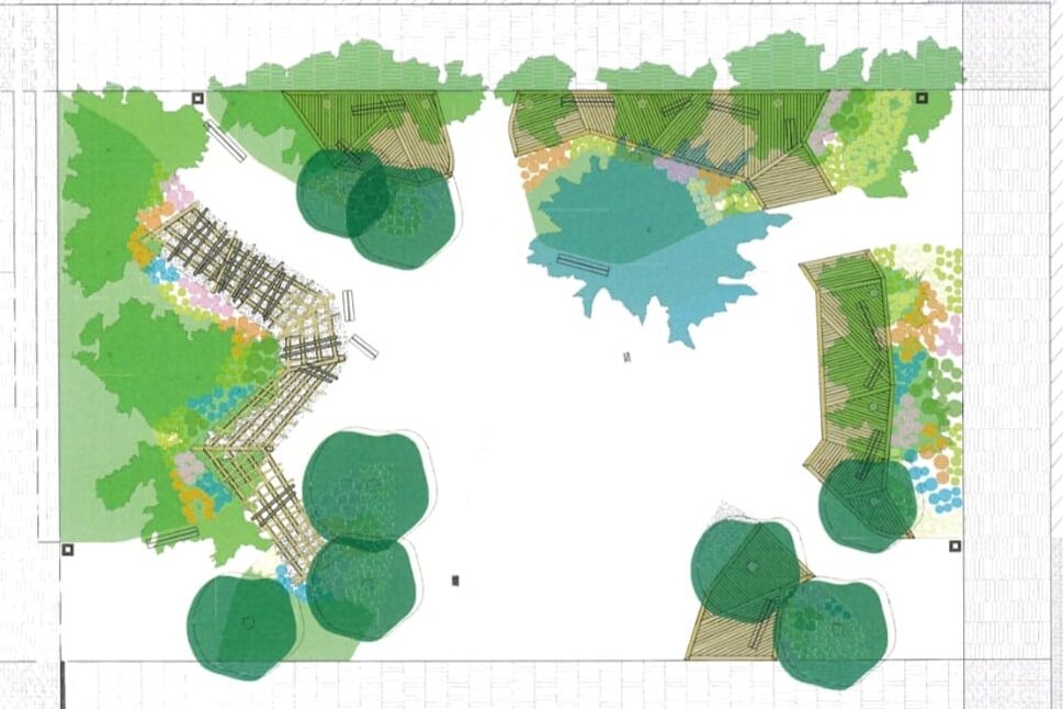 Plano de renaturalización de la plaza Rabí Sem Tob en Palencia