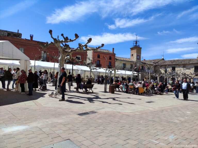 Gente participando en el Revoloteo del Estandarte en Astudillo.