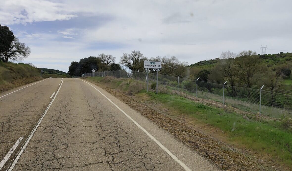 Carretera en Palencia con vallas para proteger linces