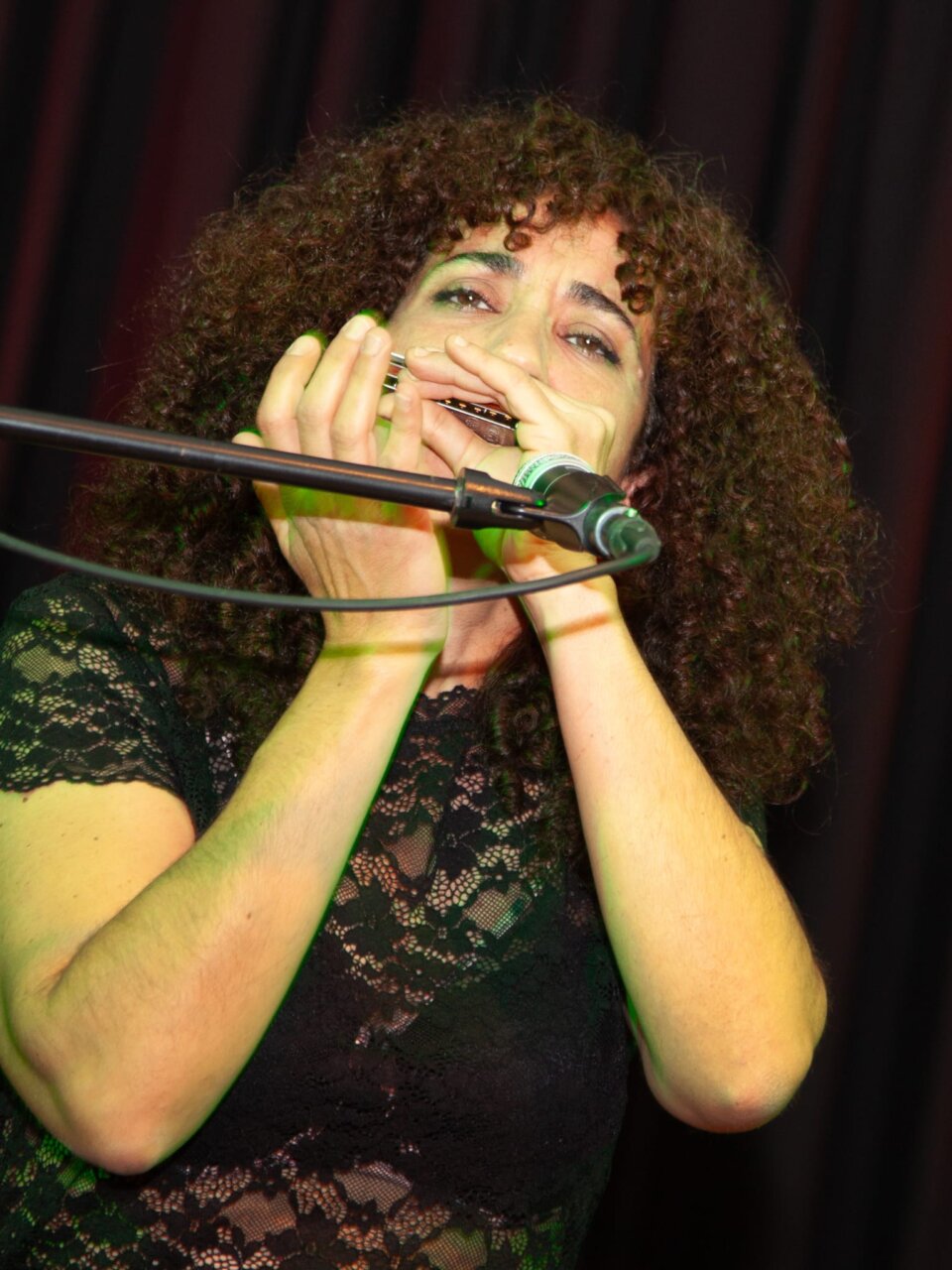 Mujer tocando la armónica en un concierto de blues