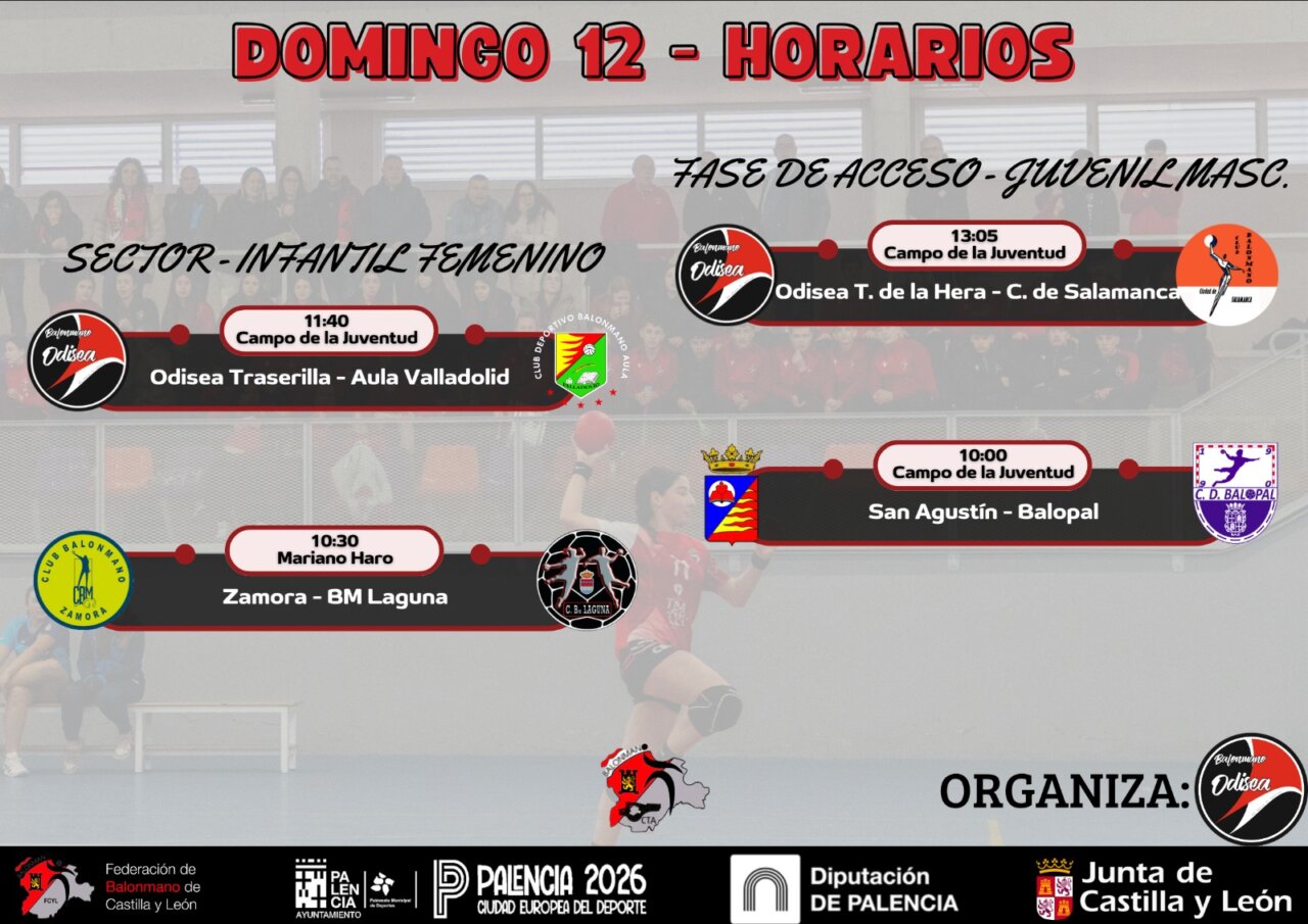 Horarios de partidos de balonmano en Palencia para el domingo