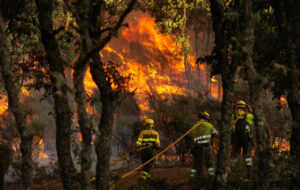 Bomberos trabajando en un incendio forestal en León, 2026