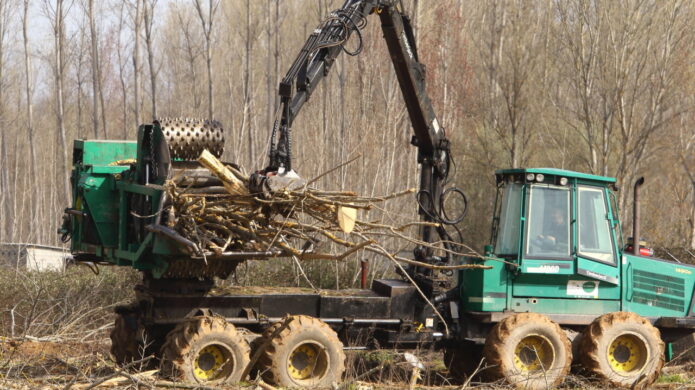 Máquina trabajando en la limpieza de vegetación en el Canal de Castilla