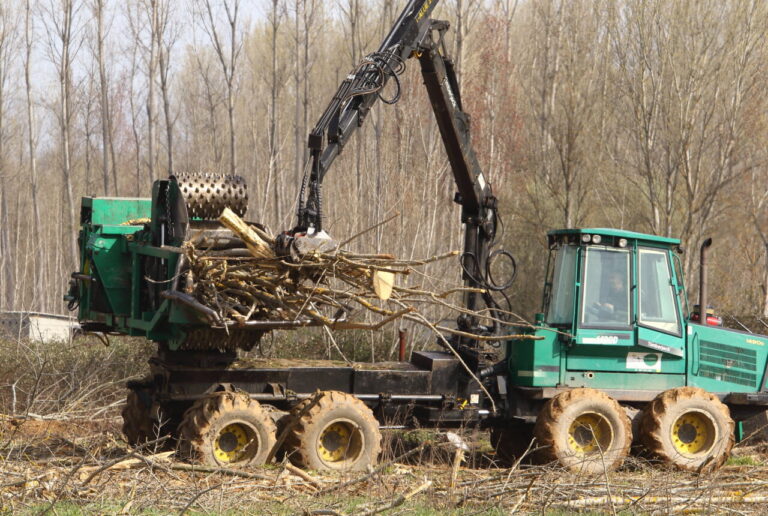 Máquina trabajando en la limpieza de vegetación en el Canal de Castilla