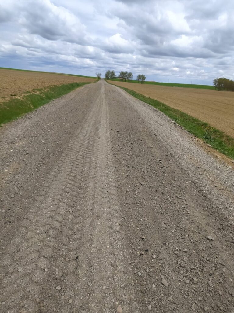 Camino rehabilitado en Marcilla de Campos con gravilla y vegetación