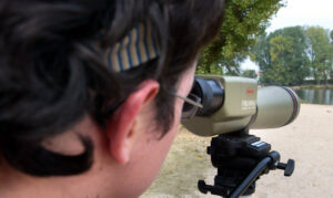 Persona observando aves con un telescopio en el Canal de Castilla