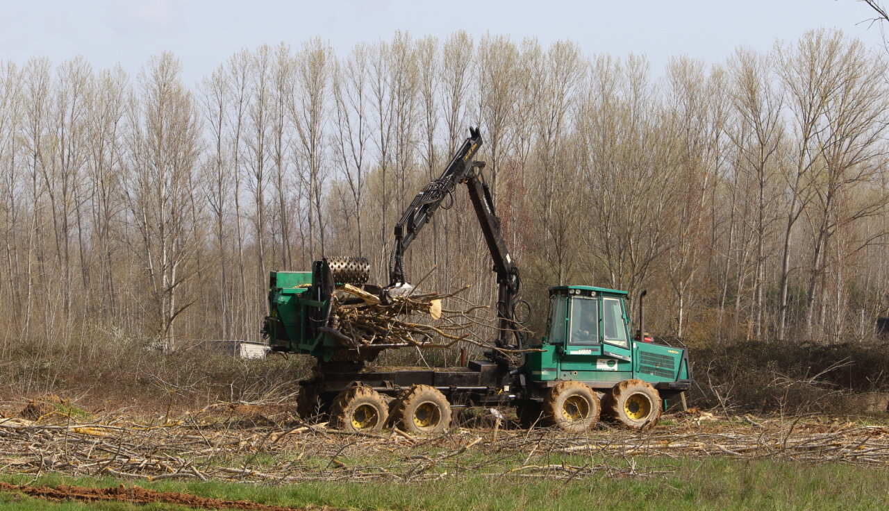 Máquina trabajando en la poda de árboles en el Canal de Castilla