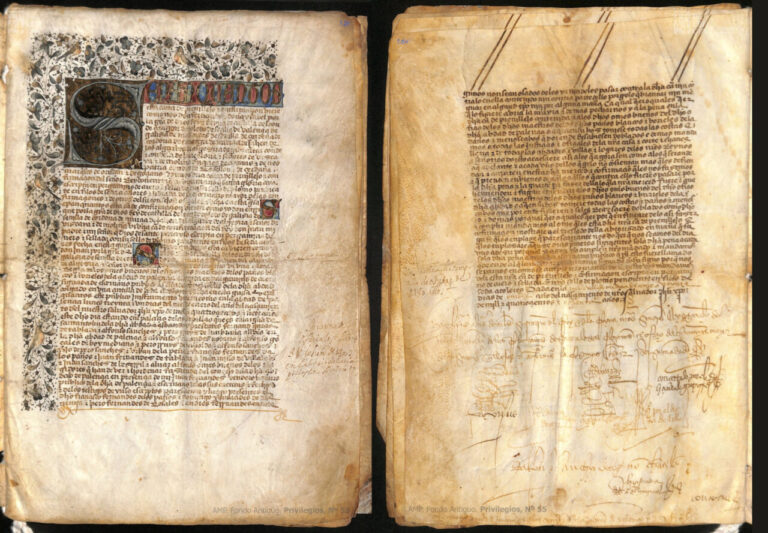Documento histórico de los Reyes Católicos sobre gremios textiles de Palencia