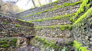 Estructuras de piedra en laderas restauradas en Saldaña con vegetación