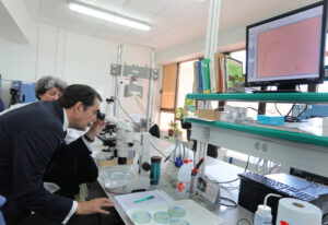 El consejero Suárez-Quiñones observando a través de un microscopio en el laboratorio