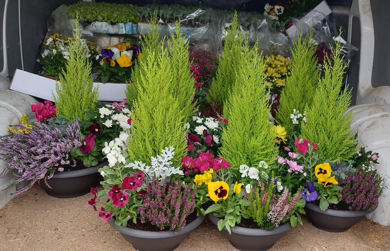 Varias macetas con plantas y flores coloridas en un vehículo