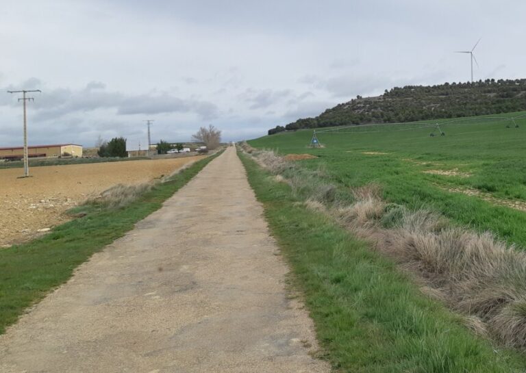 Camino rural en la provincia de Palencia con campos verdes y molinos de viento.