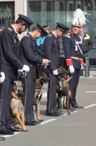 Policías locales con perros de la Unidad Canina en ceremonia de premiación