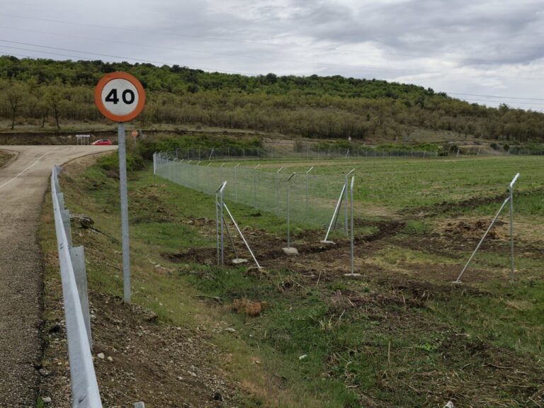 Vallas instaladas en el campo para proteger linces en Palencia