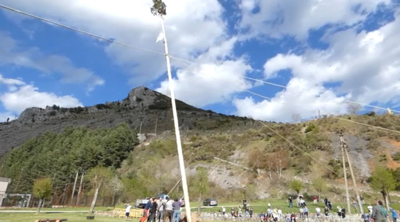 Celebración de la pinada del mayo en Velilla del Río Carrión