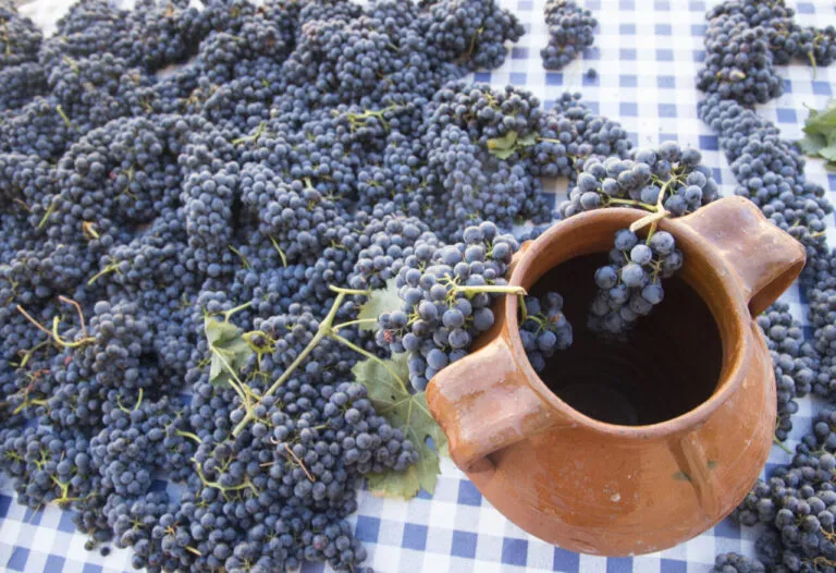 Racimos de uvas sobre una mesa con una jarra de barro