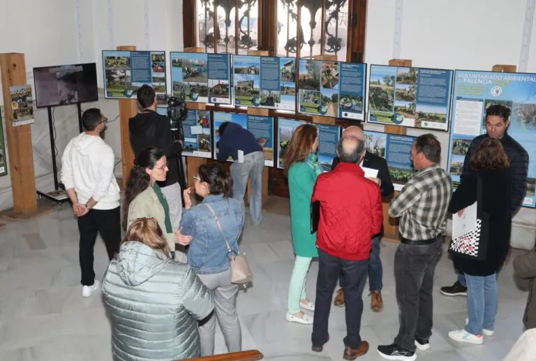 Exposición sobre proyectos ambientales en Palencia con voluntarios