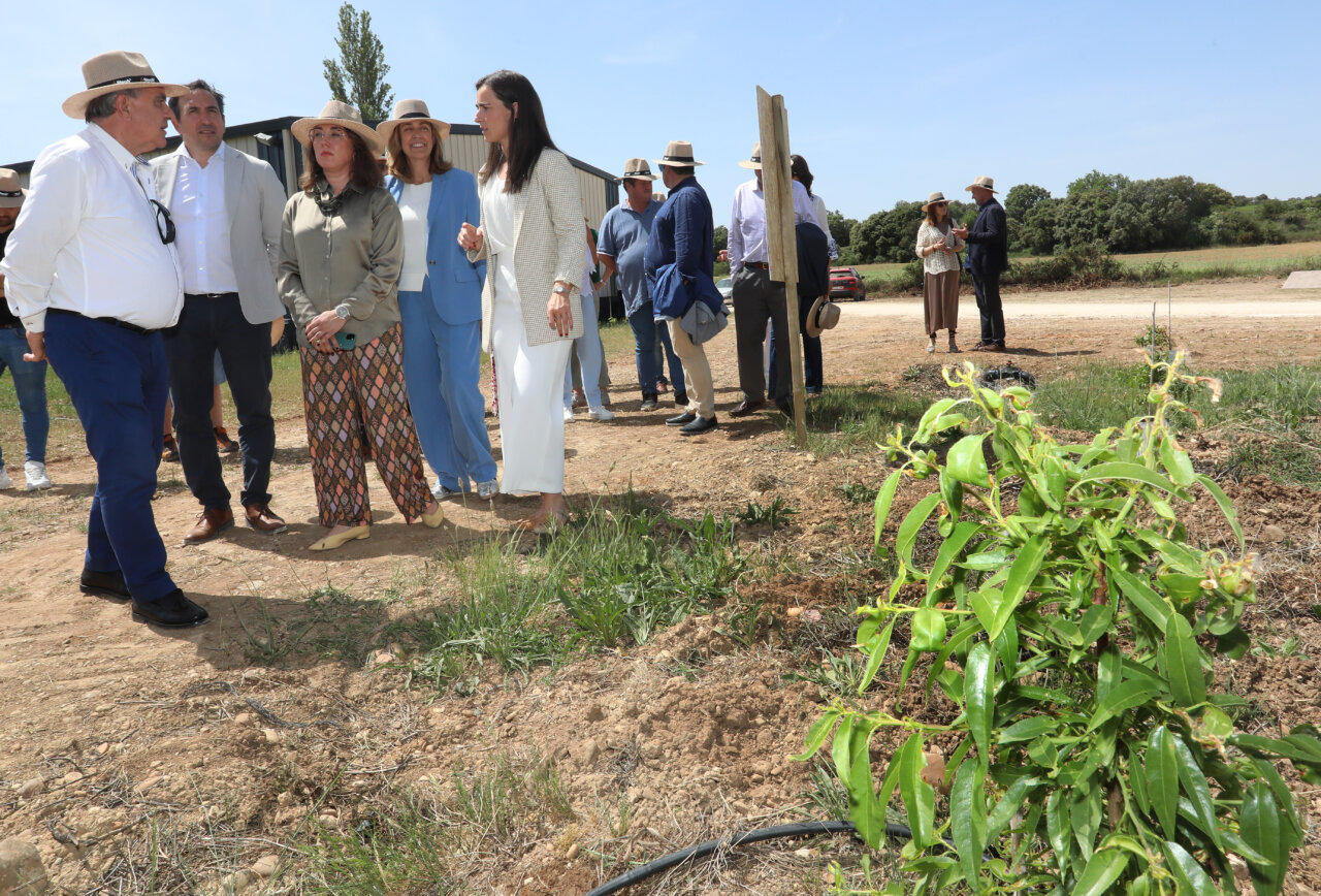 Presentación de proyectos de innovación agraria en Castilla y León