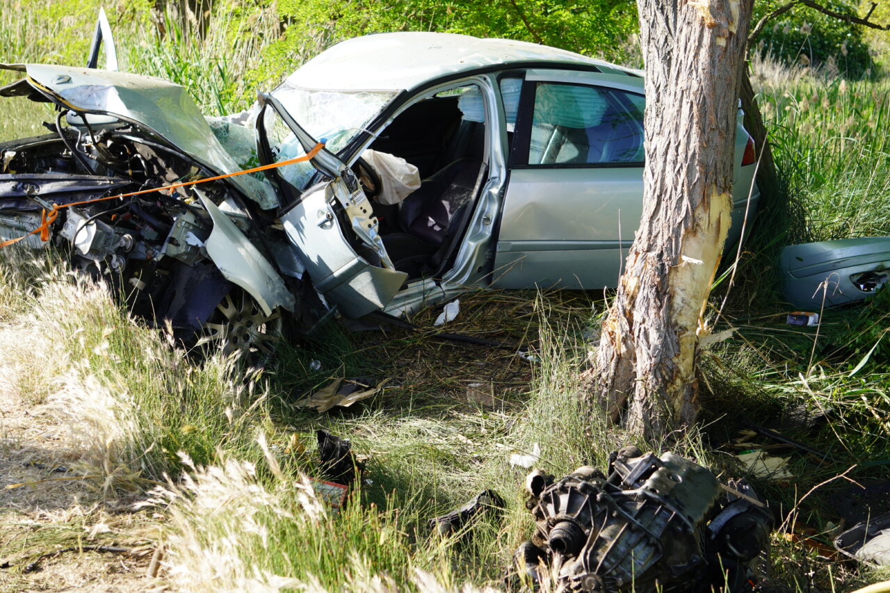 Vehículo accidentado al lado de un árbol en Palencia