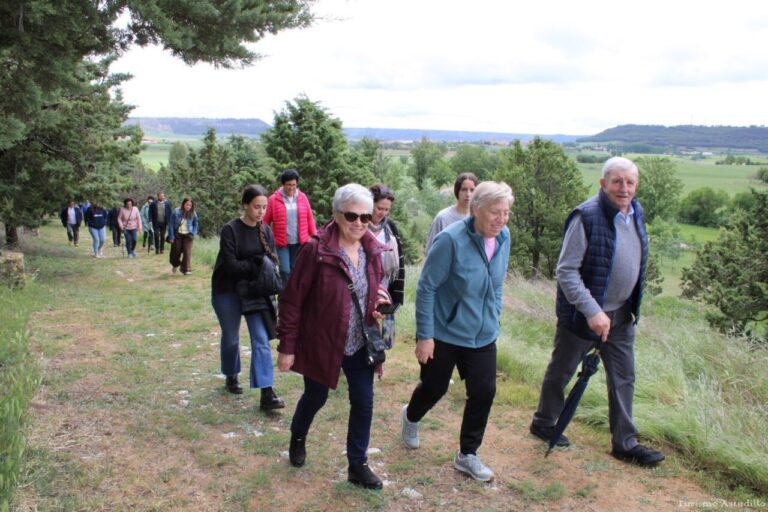 Grupo de personas caminando en la romería del Voto Villa en Astudillo