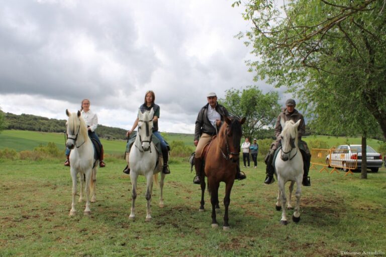 Cuatro jinetes montando a caballo en un paisaje rural