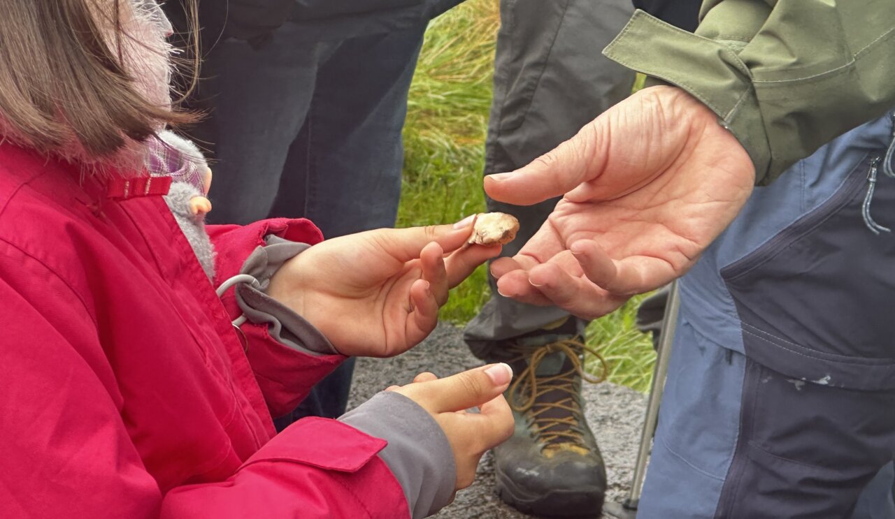 Niña sosteniendo un fósil durante el Geolodía 2026 en Aguilar de Campoo