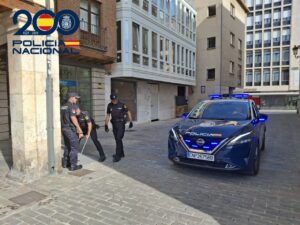 Agentes de la Policía Nacional realizando un operativo de seguridad en Palencia