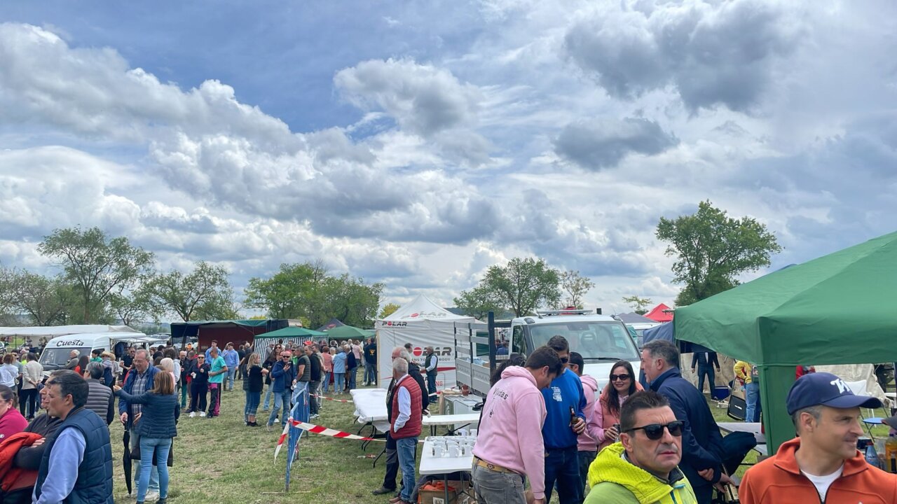 Multitud de personas en la Romería de San Gregorio en Baltanás