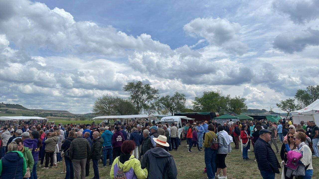 Multitud de personas celebrando la Romería de San Gregorio en Baltanás