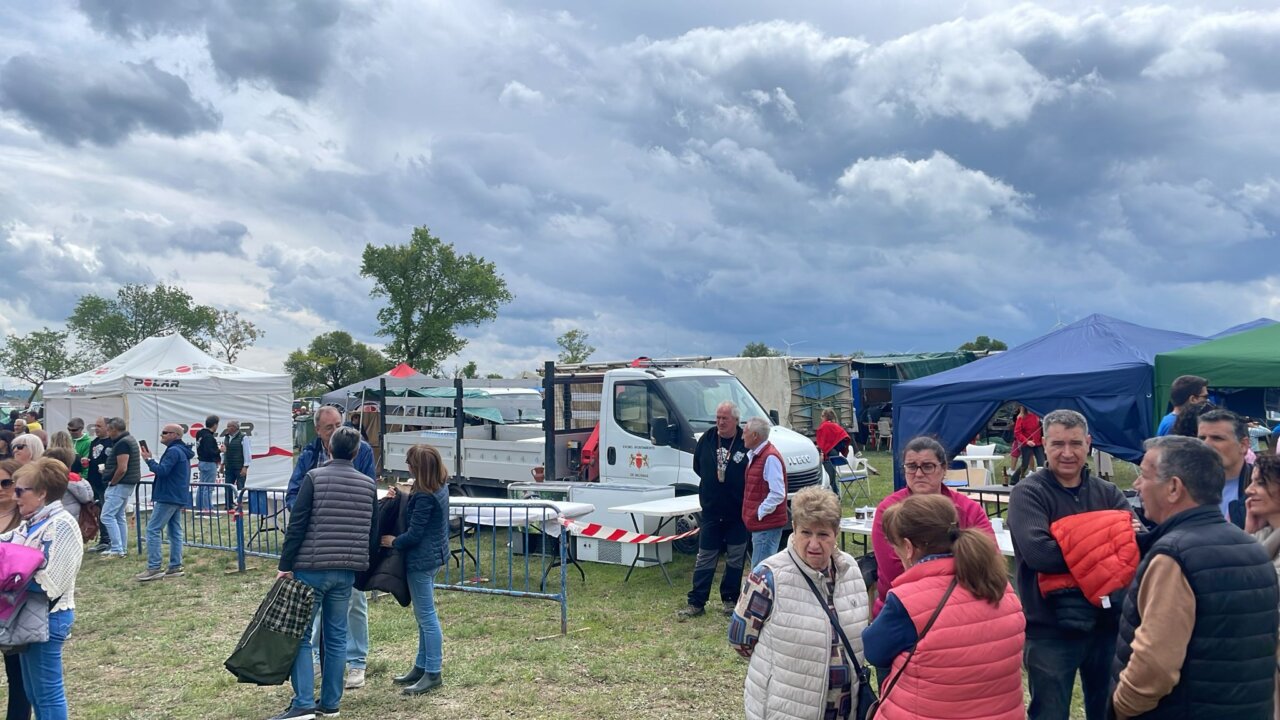 Vecinos disfrutando de la Romería de San Gregorio en Baltanás