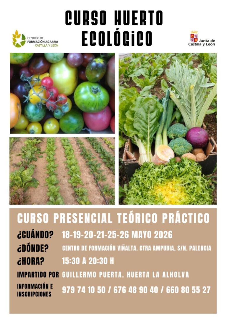 Curso de huerto ecológico en el Centro de Formación Viñalta con vegetales frescos.