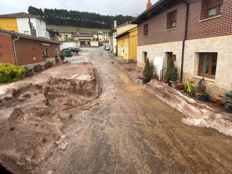 Daños en cultivos por tormentas de pedrisco en Castilla y León