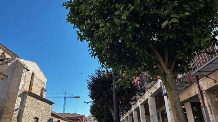 Vista de una calle en Palencia con árboles y edificios históricos