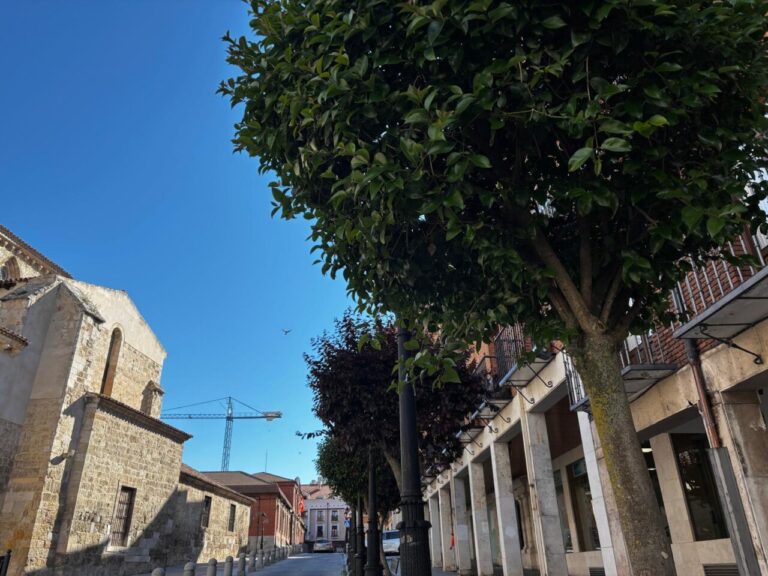 Vista de una calle en Palencia con árboles y edificios históricos