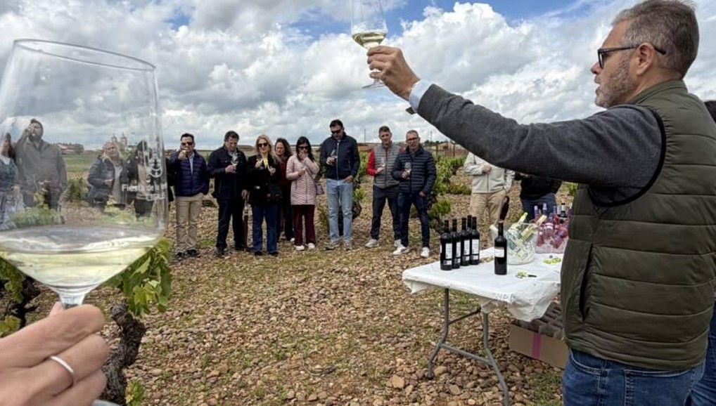 Cata de vinos en un viñedo durante la fiesta del vino D.O. Cigales.