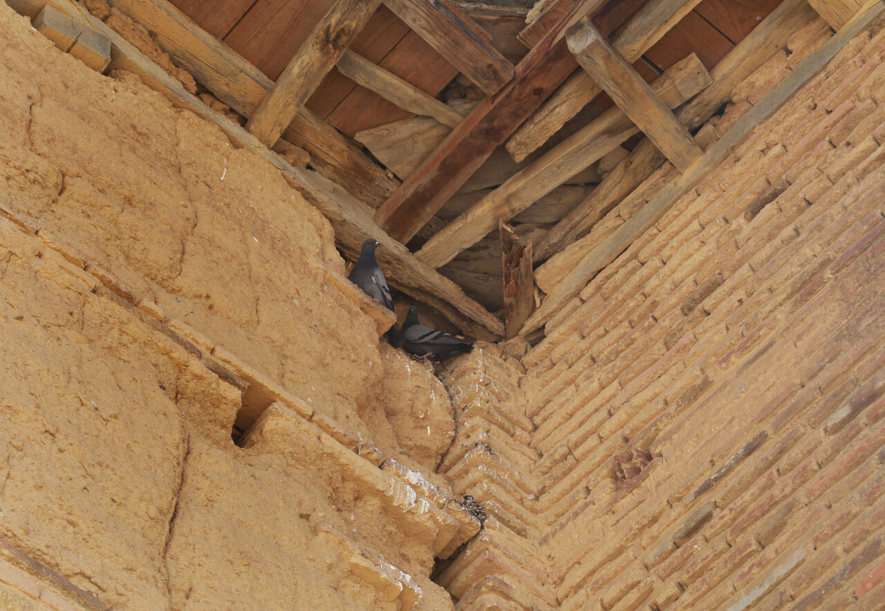 Vista del interior de la iglesia de San Pedro con palomas en la estructura